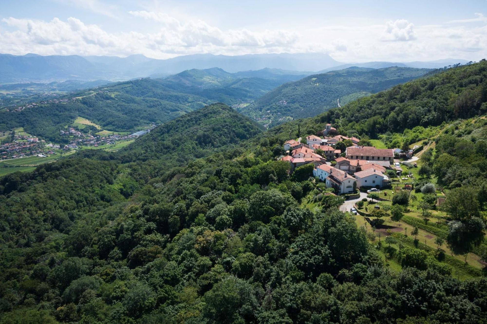 Villa Artes With Free Hot Tub & Sauna Branik Exterior foto